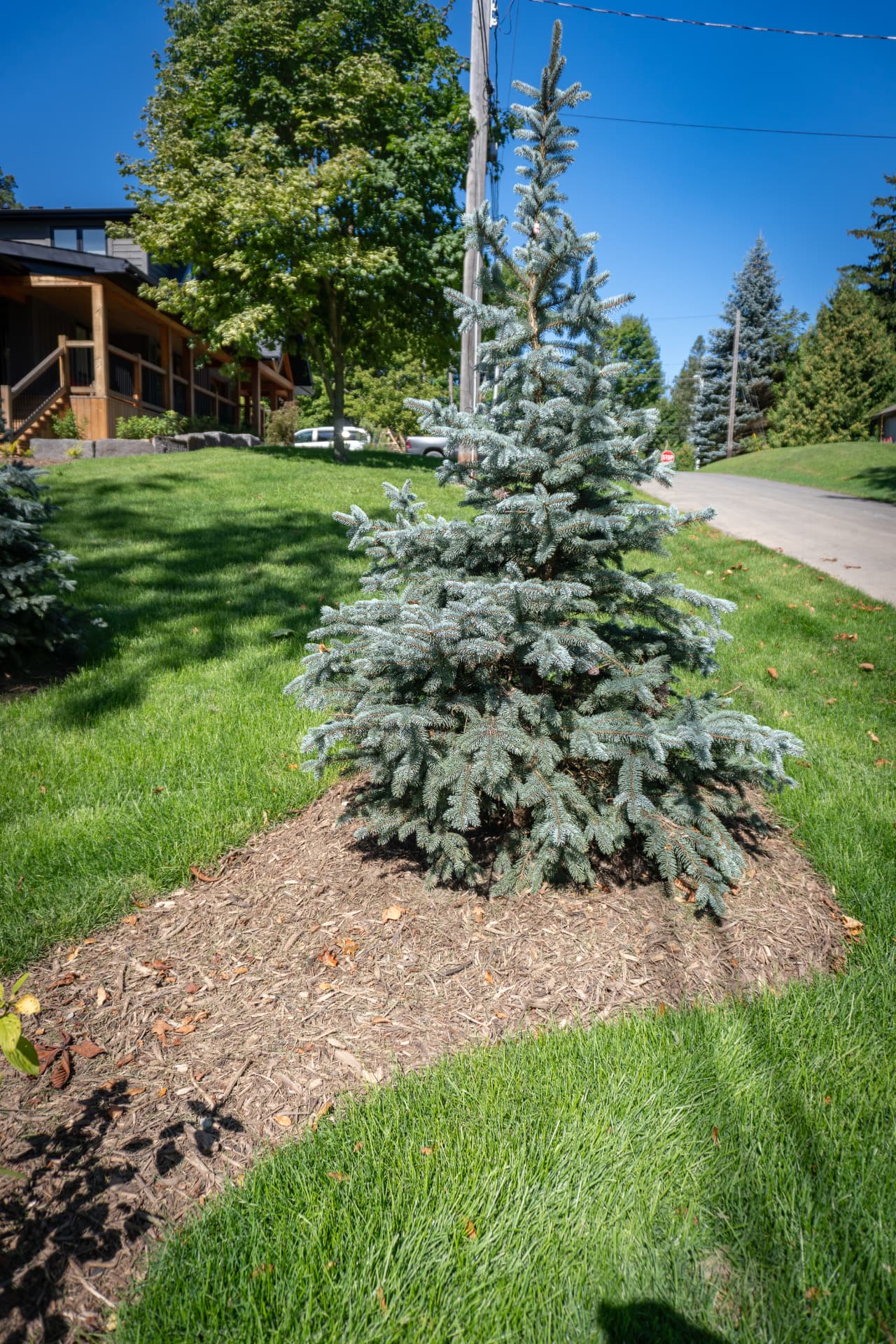 Full Property Landscape & Armour Stone — photo 9